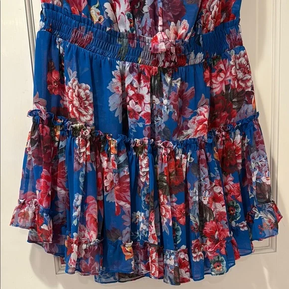 Misa Floral Blue Sleeveless Dress - Picture 6 of 6